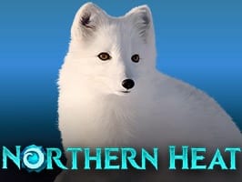 Northern Heat screenshot